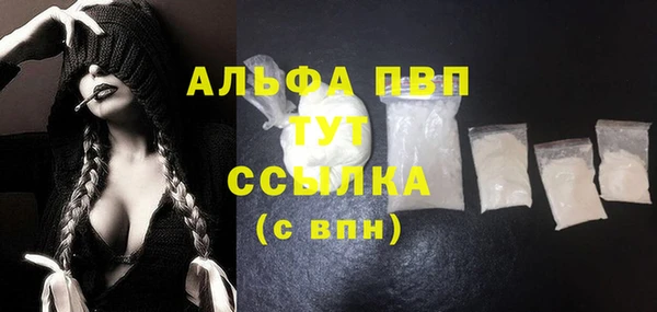 шишки Коряжма