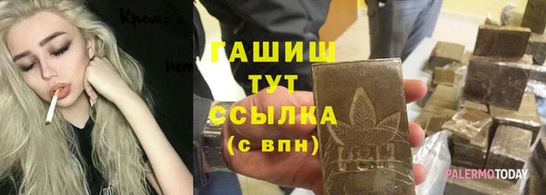шишки Коряжма