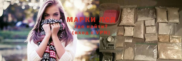 шишки Коряжма