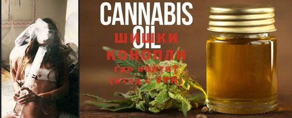 шишки Коряжма