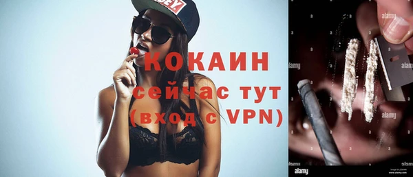 шишки Коряжма
