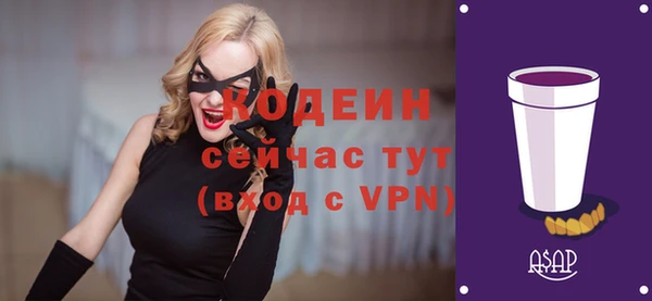 гидра Корсаков