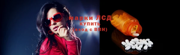 гидра Корсаков