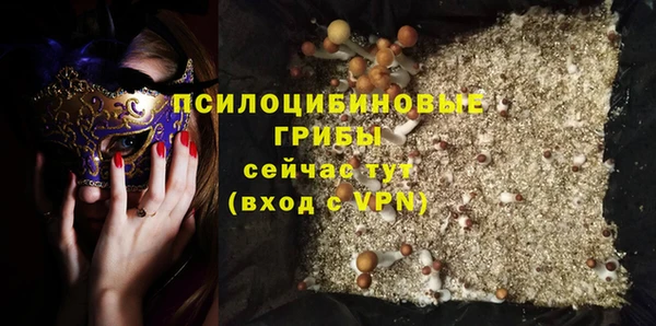 гидра Корсаков