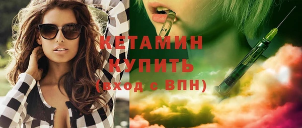 шишки Коряжма