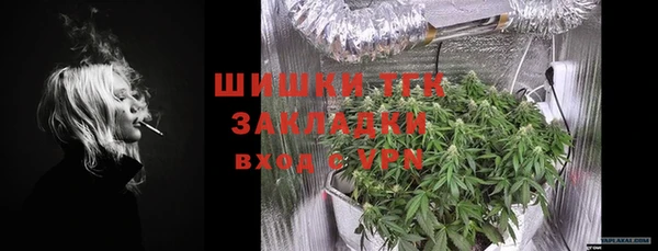 гидра Корсаков