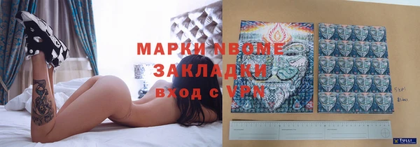 шишки Коряжма